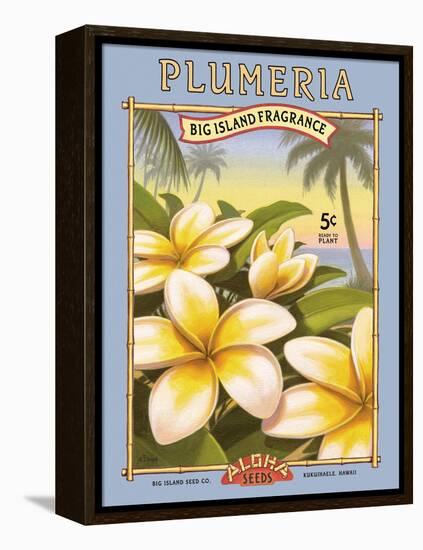 Plumeria-Kerne Erickson-Framed Stretched Canvas