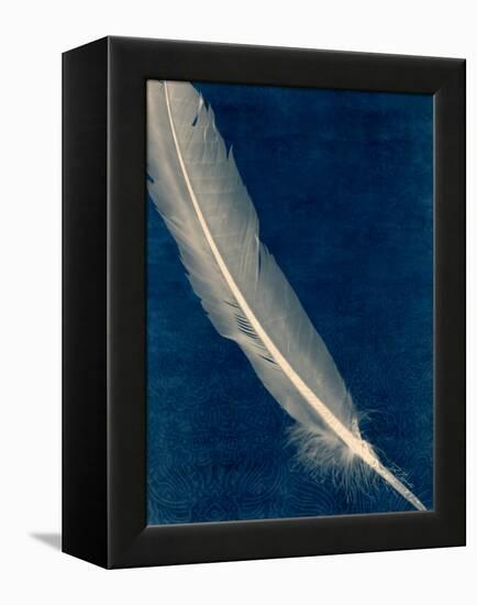 Plumes and Quills 1-Dan Zamudio-Framed Stretched Canvas