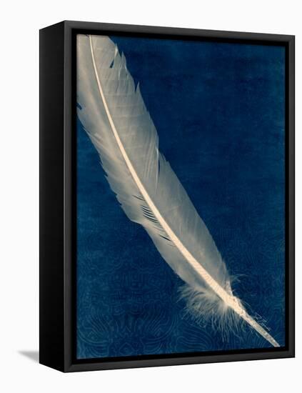 Plumes and Quills 1-Dan Zamudio-Framed Stretched Canvas
