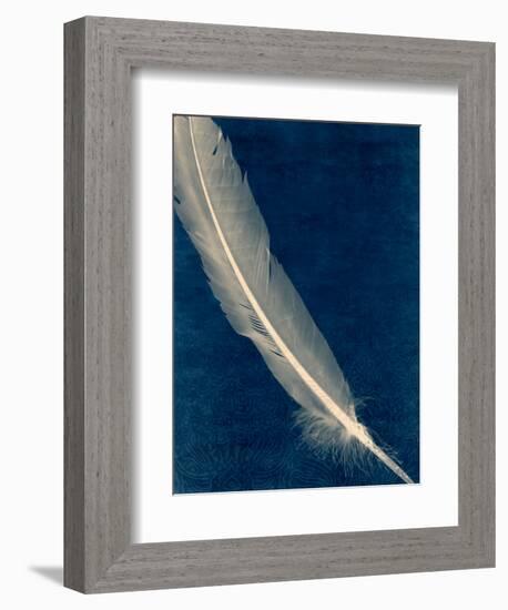 Plumes and Quills 1-Dan Zamudio-Framed Premium Giclee Print