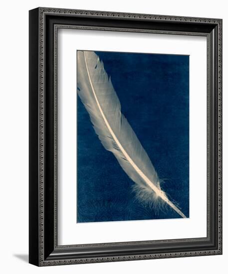 Plumes and Quills 1-Dan Zamudio-Framed Premium Giclee Print