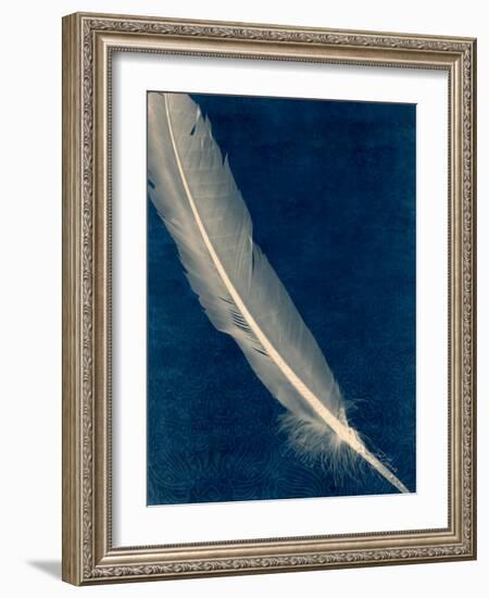 Plumes and Quills 1-Dan Zamudio-Framed Art Print