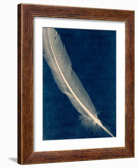 Plumes and Quills 1-Dan Zamudio-Framed Art Print