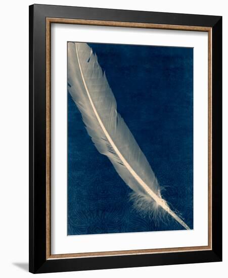 Plumes and Quills 1-Dan Zamudio-Framed Art Print