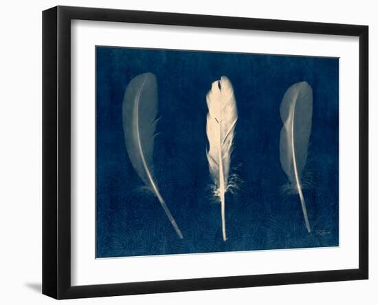 Plumes and Quills 2-Dan Zamudio-Framed Art Print