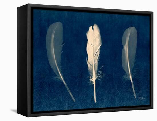 Plumes and Quills 2-Dan Zamudio-Framed Stretched Canvas