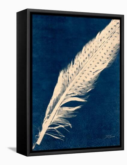 Plumes and Quills 3-Dan Zamudio-Framed Stretched Canvas