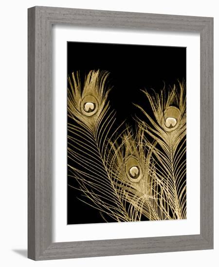 Plumes d'Or I-Jason Johnson-Framed Art Print