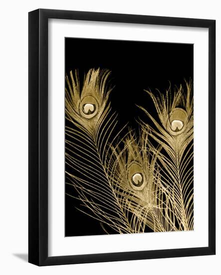 Plumes d'Or I-Jason Johnson-Framed Art Print