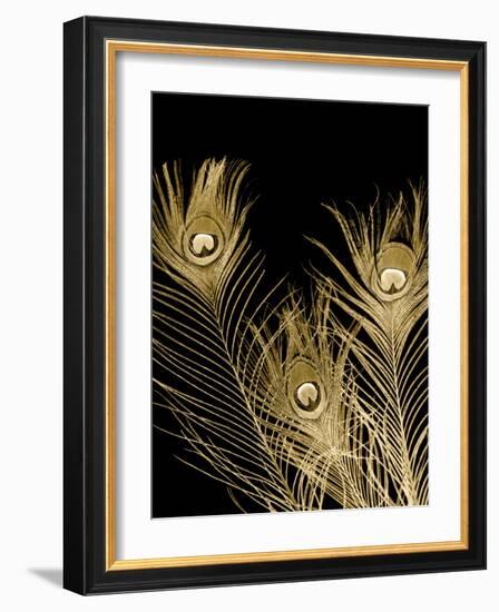 Plumes d'Or I-Jason Johnson-Framed Art Print