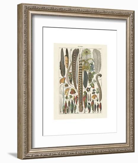 Plumes-Adolphe Millot-Framed Art Print