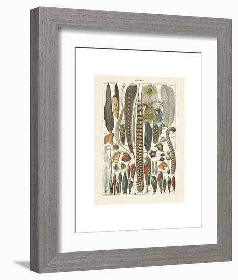 Plumes-Adolphe Millot-Framed Art Print