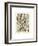 Plumes-Adolphe Millot-Framed Art Print