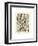 Plumes-Adolphe Millot-Framed Art Print