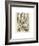 Plumes-Adolphe Millot-Framed Art Print