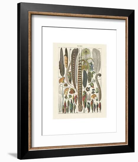 Plumes-Adolphe Millot-Framed Art Print