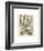 Plumes-Adolphe Millot-Framed Art Print