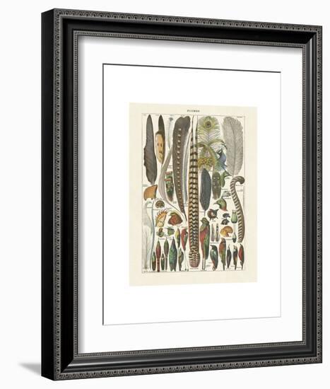 Plumes-Adolphe Millot-Framed Art Print