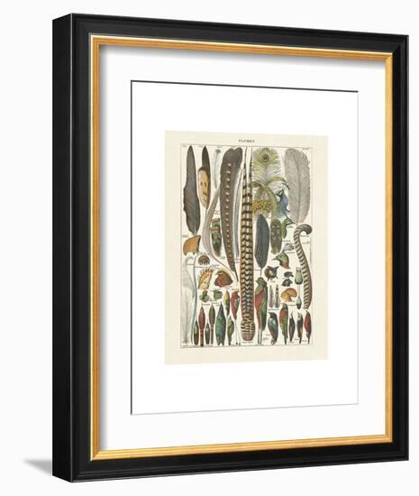 Plumes-Adolphe Millot-Framed Art Print