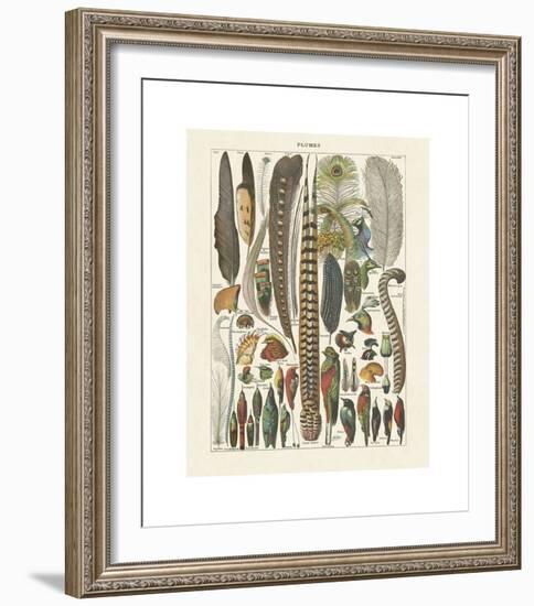 Plumes-Adolphe Millot-Framed Giclee Print