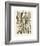 Plumes-Adolphe Millot-Framed Giclee Print