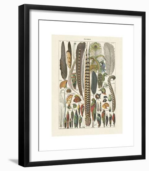 Plumes-Adolphe Millot-Framed Giclee Print