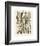 Plumes-Adolphe Millot-Framed Giclee Print