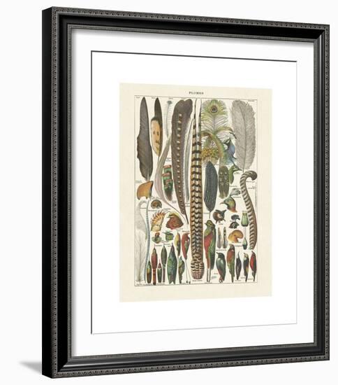 Plumes-Adolphe Millot-Framed Giclee Print