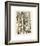 Plumes-Adolphe Millot-Framed Giclee Print