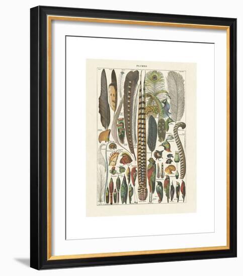 Plumes-Adolphe Millot-Framed Giclee Print