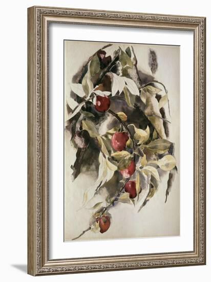 Plums, 1925 (W/C & Graphite on Wove Paper)-Charles Demuth-Framed Giclee Print