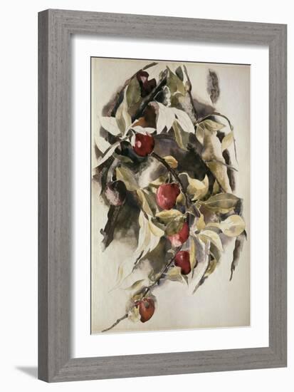 Plums, 1925 (W/C & Graphite on Wove Paper)-Charles Demuth-Framed Giclee Print