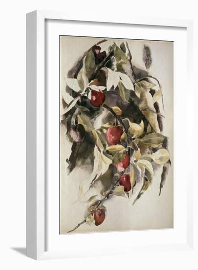 Plums, 1925 (W/C & Graphite on Wove Paper)-Charles Demuth-Framed Giclee Print