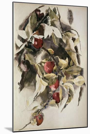 Plums, 1925 (W/C & Graphite on Wove Paper)-Charles Demuth-Mounted Giclee Print