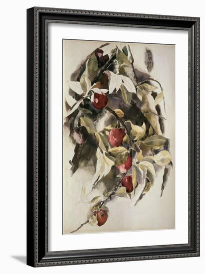 Plums, 1925 (W/C & Graphite on Wove Paper)-Charles Demuth-Framed Giclee Print