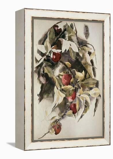 Plums, 1925 (W/C & Graphite on Wove Paper)-Charles Demuth-Framed Premier Image Canvas