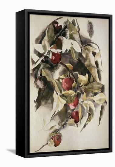 Plums, 1925 (W/C & Graphite on Wove Paper)-Charles Demuth-Framed Premier Image Canvas