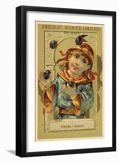 Plums from Damascus-null-Framed Giclee Print