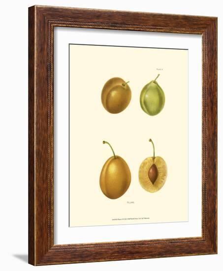 Plums I-null-Framed Art Print