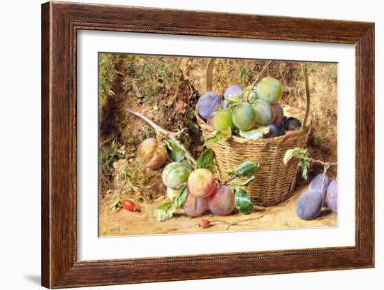 Plums (W/C)-William Henry Hunt-Framed Giclee Print