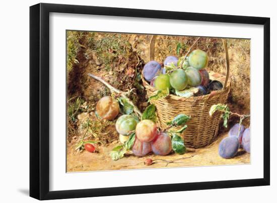 Plums (W/C)-William Henry Hunt-Framed Giclee Print