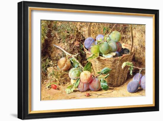 Plums (W/C)-William Henry Hunt-Framed Giclee Print