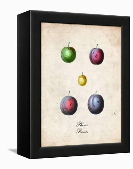 Plums-null-Framed Stretched Canvas