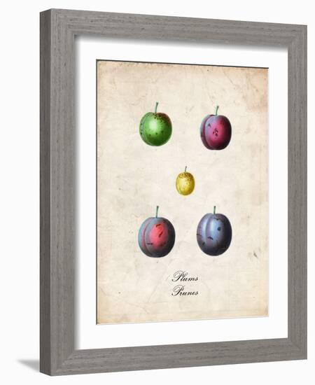 Plums-null-Framed Premium Giclee Print