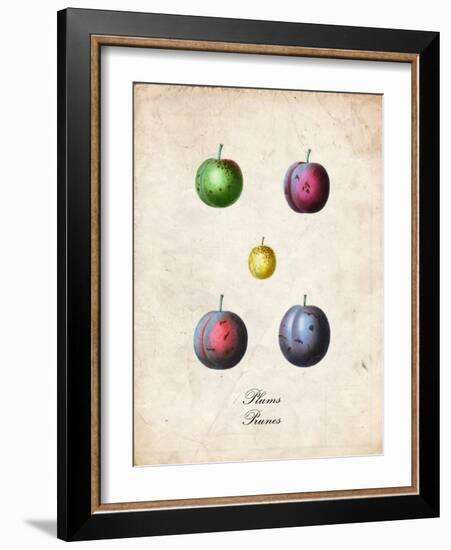 Plums-null-Framed Premium Giclee Print