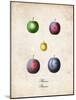 Plums-null-Mounted Art Print