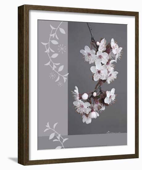 Plumtree Flowers-Amelie Vuillon-Framed Art Print