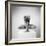 Plus-Arkadiusz Branicki-Framed Photographic Print