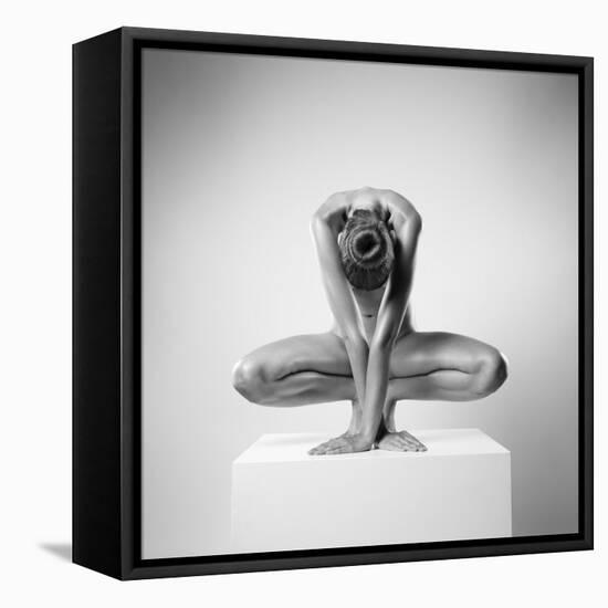 Plus-Arkadiusz Branicki-Framed Premier Image Canvas