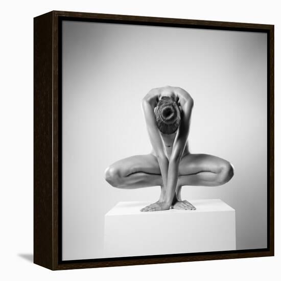 Plus-Arkadiusz Branicki-Framed Premier Image Canvas